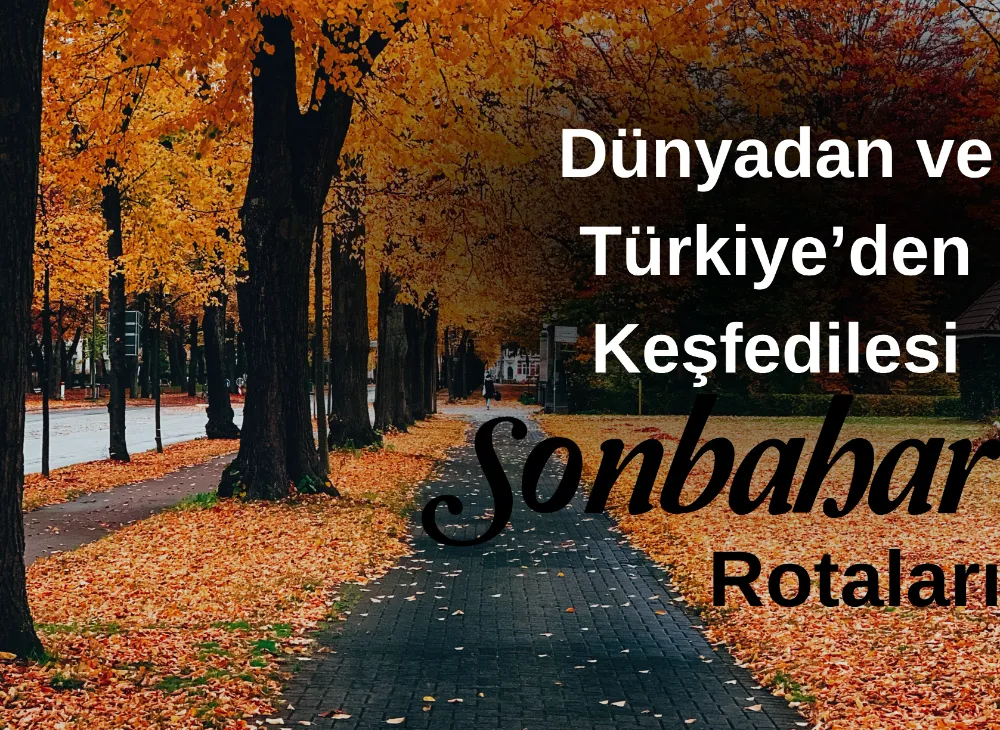 DÜNYADAN VE TÜRKİYE