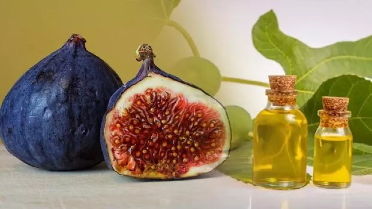 İncir Çekirdeği Yağının Mucizevi Faydaları...